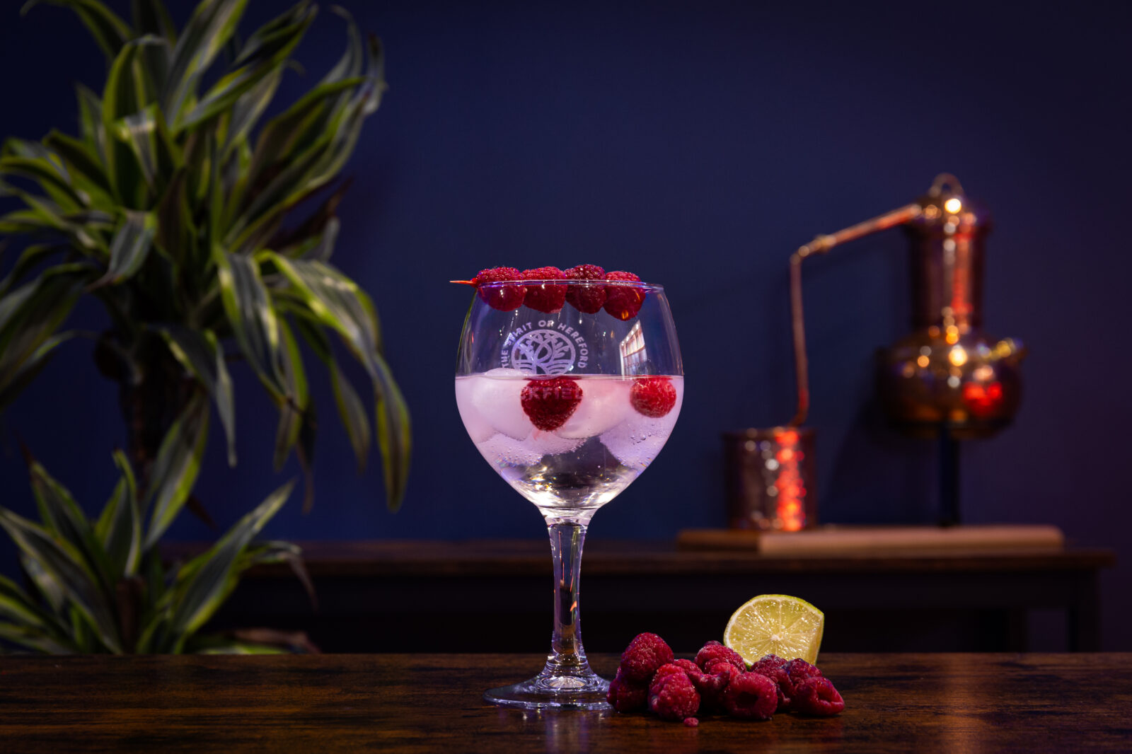 Raspberry and Rhubarb Gin signature Serve