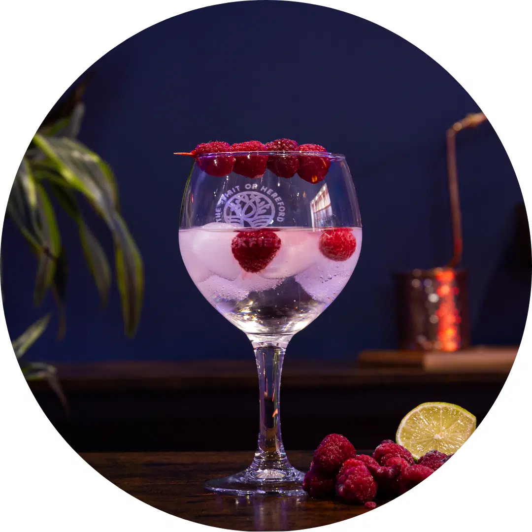 Classic Raspberry & Rhubarb with Tonic